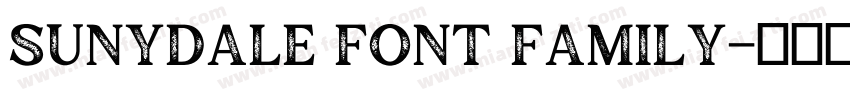 Sunydale Font Family字体转换